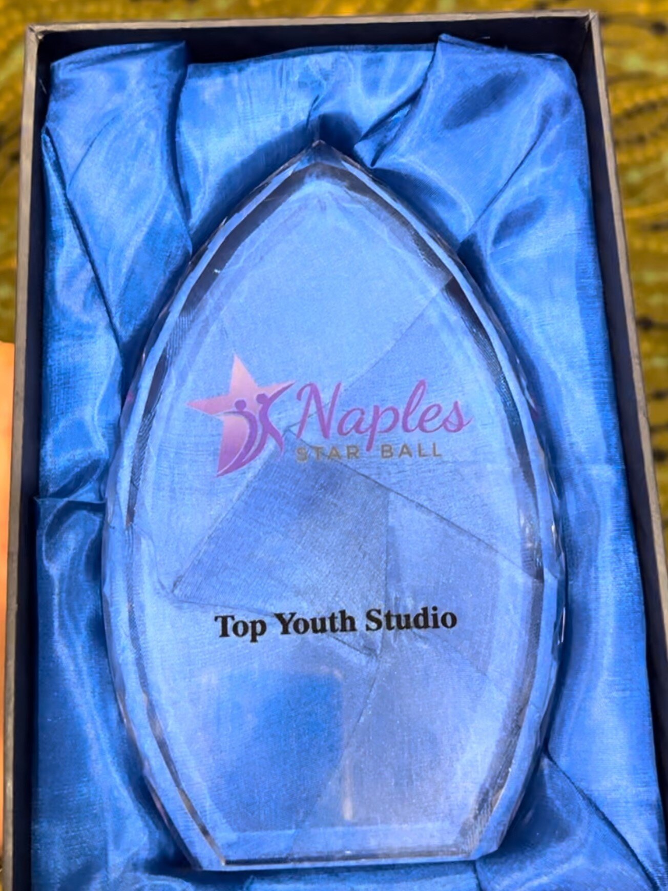 Trophy for Top Youth Studio